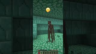 Everyone was Frightened of Something shorts minecraft meme [upl. by Velma]