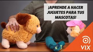 Cómo hacer juguetes para perros  Manualidades [upl. by Areip]