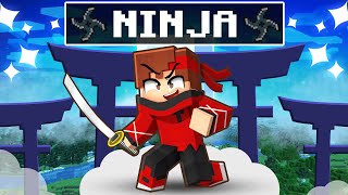 Talcado devient un NINJA sur Minecraft [upl. by Francis]