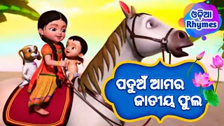 Paduan Amara Jatiya Phula  Shishu Batika  Salman Creation  Odia cartoon song [upl. by Hervey]