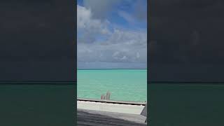 Over Water Bungalow  Le Bora Bora by Pearl [upl. by Adidnere]