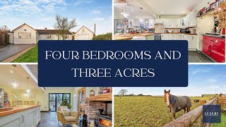 Four Bedroom Bungalow For Sale in Pembrokeshire with Three Acres amp Stables  Luxury Welsh Homes [upl. by Aisad]