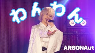 「わんわん」 ARGONAut 2nd Anniversary Live  下北沢シャングリラ [upl. by Fancie]