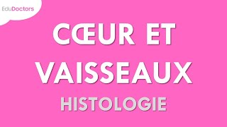 Le système cardiovasculaire  Histologie [upl. by Neellek]