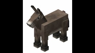 NEW 2B2T DONKEY DUPE WORKING [upl. by Cirred]