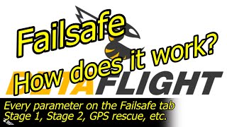 How Failsafe works What to set in Failsafe tab [upl. by Ahsitruc]