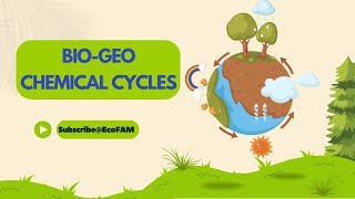 Biogeochemical Cycles  Functions of Ecosystem [upl. by Schacker12]