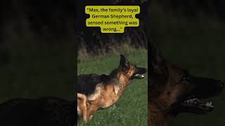 Hero German Shepherd Saves Baby from Fire 🐕🔥 True Rescue Story🐾 HeroDogDogRescueTrueStoryShorts [upl. by Aitret]