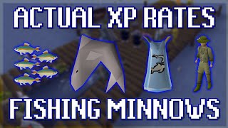 Actual XP Rates for Fishing Minnows in OSRS [upl. by Jule]