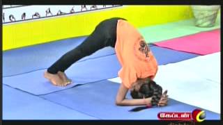 Dr Lakshmi Andiappans Yoga Therapy Program for Various Ailments 16 05 2013 [upl. by Noella]