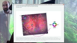 Neuralink Monkey MindPong Deconstructed [upl. by Enilreug]