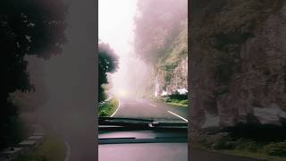 ooty hilldrive misty road foggyroad kodai kaala kaatre tamil song nature Ajshorts006 [upl. by Ginger793]