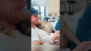 cat dog dogs cut cute love lovecats lovedogs funny virla viralvideo foryou foryoupage [upl. by Fillender970]