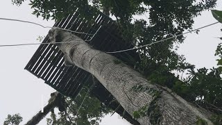 Un hotel burbuja a 45 metros de altura en Costa Rica [upl. by Dorwin]