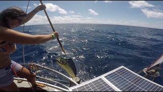 E54 Catching and Drying Mahi Underway in the Pacific [upl. by Vallie]