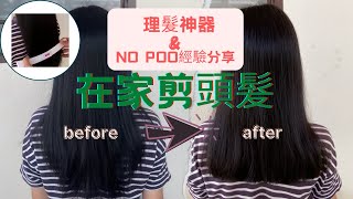 如何自己在家剪頭髮  剪髮神器推薦 amp 四年no poo經驗分享！ How to cut hair at home [upl. by Lehrer]