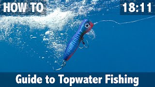 Guide to Topwater Fishing [upl. by Airpal644]