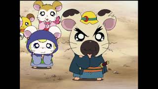 Hamtaro Japanese Episode 219 English Subbed [upl. by Enorel]