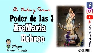 las 3 AVEMARIAS Ave Marias en Hebreo [upl. by Enyrb]