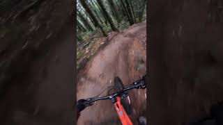 Dangerous torpedo run MTB [upl. by Tare]