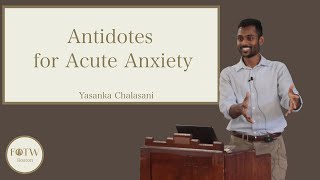 Antidotes for Acute Anxiety [upl. by Flory500]