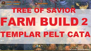 TOS BUILD  TEMPLAR PELTASTA CATAPHRACT [upl. by Atiekahs]