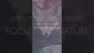 The Bevis Frond new album ‘Focus on Nature’ out 1 March 2024 preorder  listen to the first single [upl. by Joseph904]