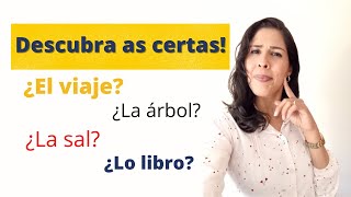 Espanhol descomplicado  Gramática Os Artigos em Espanhol [upl. by Kuhlman256]