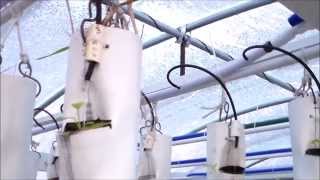 Field changes to Aquaponics Grow Towers [upl. by Yeldahc556]