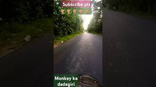 funny monkey ka dadagiri 🐒🐒🐒🐒🐒🐒🐒🐒 [upl. by Centeno42]