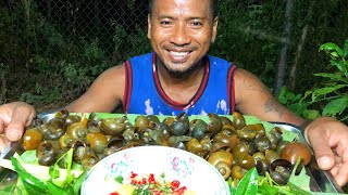 SIYEAN ASMR GIANT SNAIL ESCARGOT  FOOD THE BEST  EATING SOUNDS  No Talking [upl. by Aciret381]