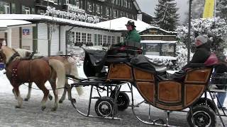 Titisee im Winter [upl. by Trautman]