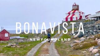 Bonavista Cape Shore Trail to lighthouse  Dungeon Provincial Park  Newfoundland hiking [upl. by Dyane]