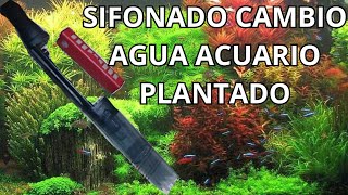 CAMBIO DE AGUA Y SIFONADO CON FLUVAL PROVAC ELÉCTRICO ACUARIO PLANTADO [upl. by Roth]