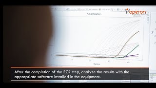 PCR Real Time qPCR procedure — OPERON [upl. by Hagerman]