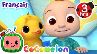 Où sont les canards  Chansons pour Bébés  CoComelon Le coin des Animaux de JJ  Comptines [upl. by Teteak]