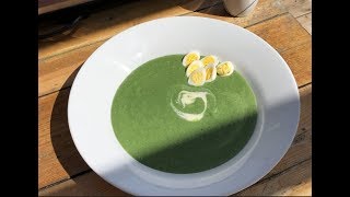 Annas Brennnesselsuppe  Brennesselsuppe [upl. by Naehgem]