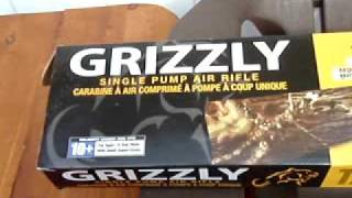 Grizzly Single Pump Air Rifle BB Gun Review [upl. by Llywellyn116]