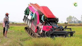 Incredible Safety Operator Harvester Working Skills Cropping Rice By Kubota DC70Plus Machinery [upl. by Hasin]