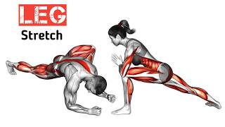 LEG STRETCH Exercise to Build muscle [upl. by Tiana]