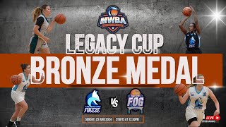 Fredericton Freeze vs Port City Fog  MWBA Bronze Medal 1230pm [upl. by Burgwell]