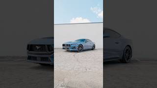 Brand New Mustang GT road ready😎 mustang gt v8 musclecar carspotting hp shelbygt mustanggt [upl. by Ayrad158]