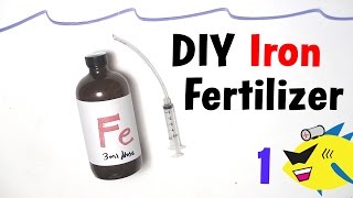 How To Make DIY Aquarium Plant Fertilizer Iron [upl. by Heddi]