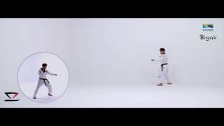 Taekwondo New Kukkiwon Poomsae 05 Bigak  Flying Kick 비각 1830 [upl. by Bolte]