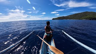 How to catch needlefish in a very simple way Catch and cook [upl. by Luapnhoj]