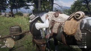 Red Dead Redemption 2 Feb2024 Finally found a Piebald Tobiano near Flatneck Station [upl. by Eiznekam613]