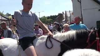 Appleby horse gypsy fair 2023 [upl. by Josy]