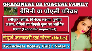 Gramineae Or Poaceae Family bsc 2nd year in hindi  ग्रेमिनी या पोएसी  संपूर्ण जानकारी एवं Notes [upl. by Ennoira254]