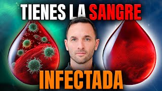 ¿Problemas Digestivos Podrían estar Contaminando tu SANGRE 🤯 [upl. by Tommy448]