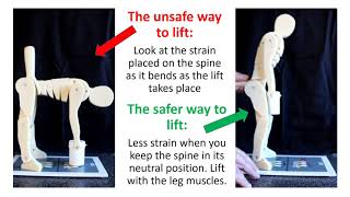 Manual Handling  using a mannequinn to show lifting technique [upl. by Nam]